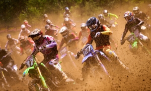 Salon Honorable Mention